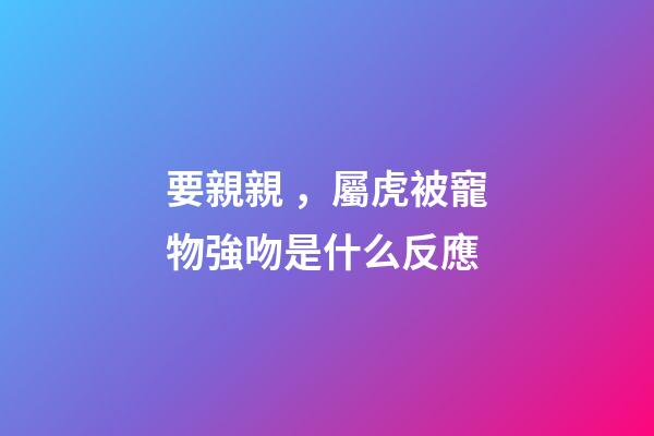 要親親，屬虎被寵物強吻是什么反應